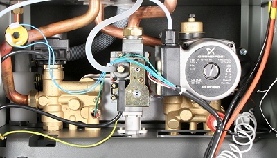 bx pt gold hea inner 4.jpg